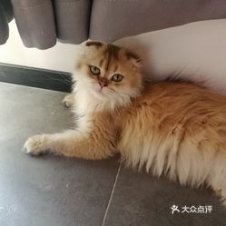 玻璃基覆铜板 第342页