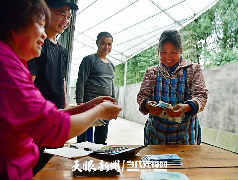 凤冈最新动态,探寻新动向,感受时代脉搏