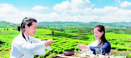 凤冈最新动态,探寻新动向,感受时代脉搏