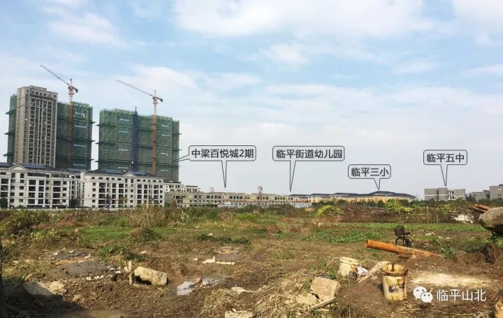 临平山北新貌,自然与人文的交融之美探索