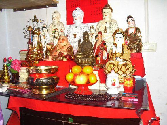 2017最新仙家事,揭秘2017最新仙家事，探寻奇幻世界的神秘面纱