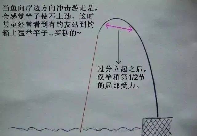 探索未知钓鱼领域,最新钓法与技巧体验垂钓乐趣