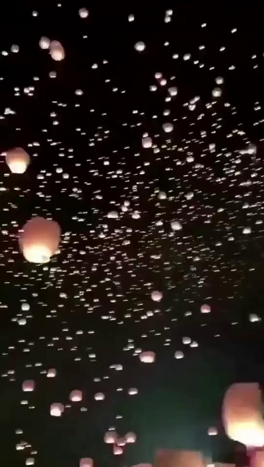 第1288页