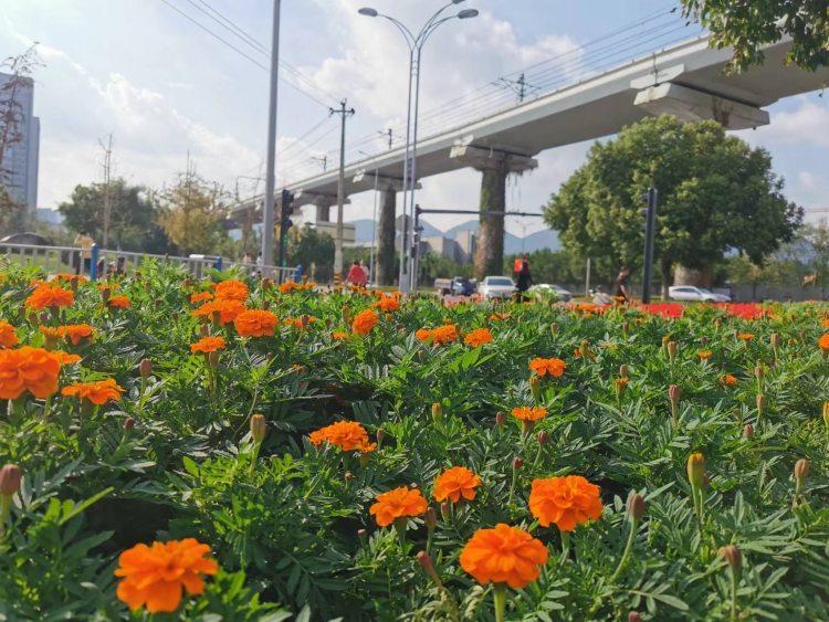 玻璃基覆铜板 第204页