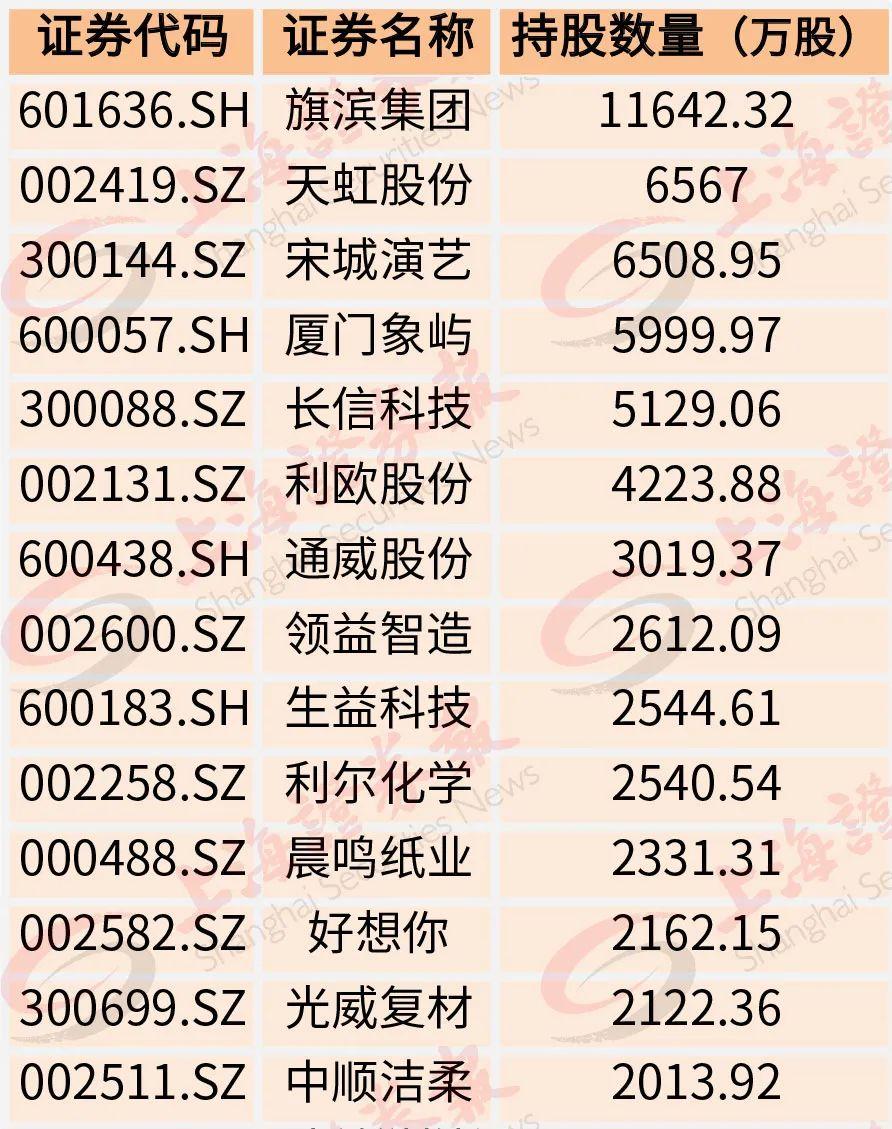 东华股票，探寻资本市场的魅力之源