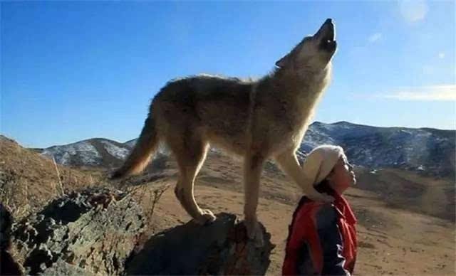 李微漪与格林的最新动态,自然与音乐的和谐共鸣揭秘