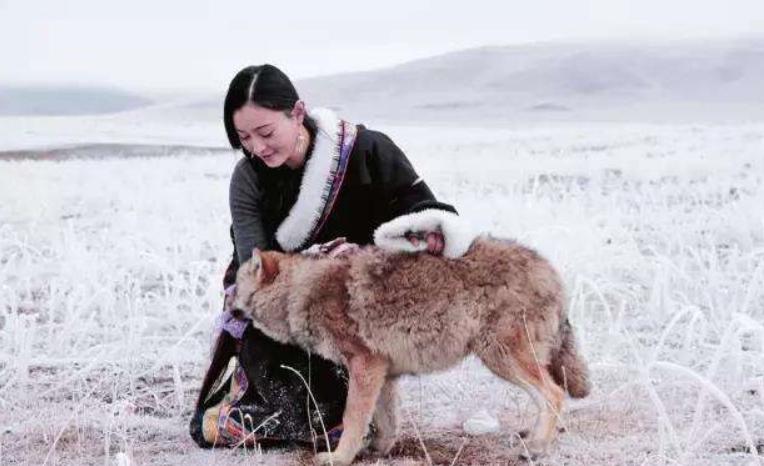 李微漪与格林的最新动态,自然与音乐的和谐共鸣揭秘
