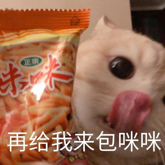 探索未知的美好世界，最新咪咪爱地址分享