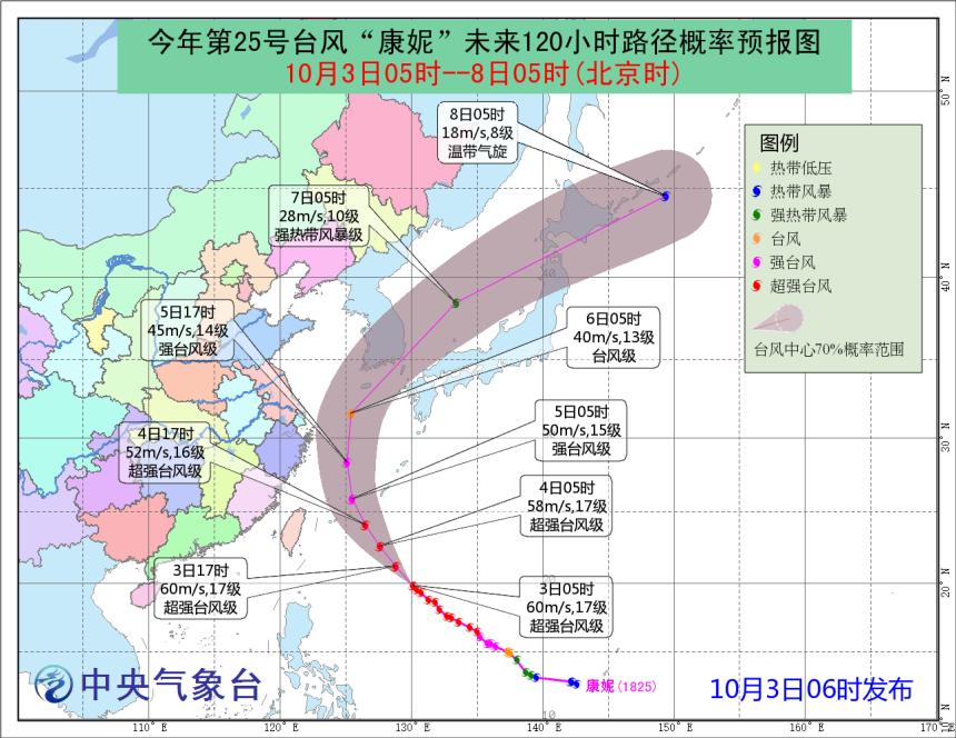 康妮最新消息揭秘,一场充满惊喜与感动的旅程