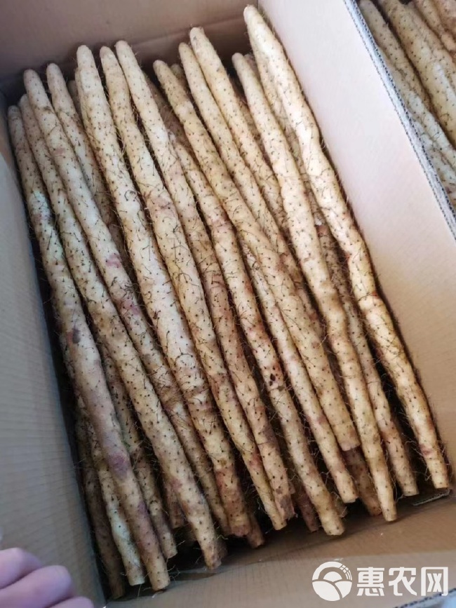 铁棍山药价格最新行情分析,市场动态与价格走势揭秘