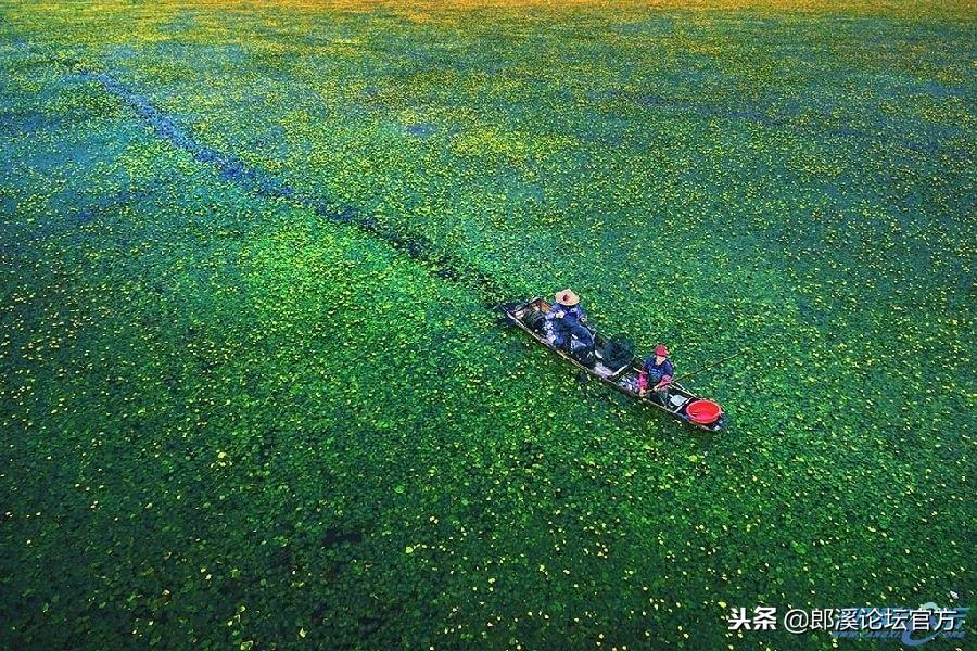 郎溪论坛最新招聘启事，探寻职业新机遇，共筑未来美好篇章