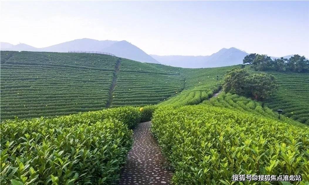 安吉最新天气，拥抱自然之美的温馨气象
